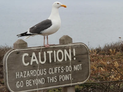 Caution Sign
